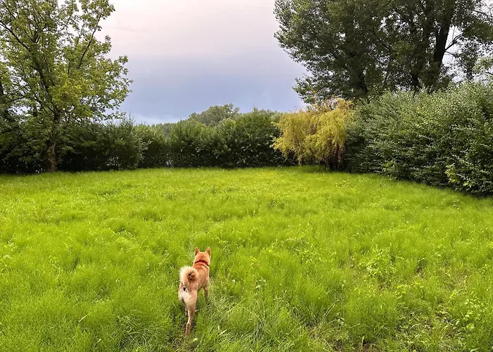 Houseboat - Beacon Of Happiness